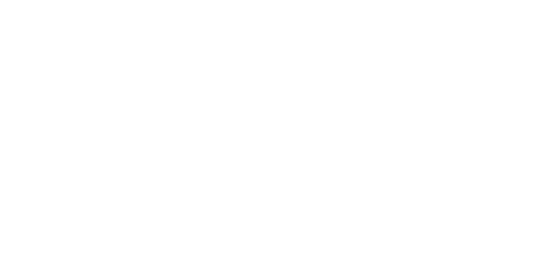 Disc Logo